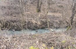  Oază de liniște în Sovata – Cabană cu piscină, teren generos și pârâu în grădin