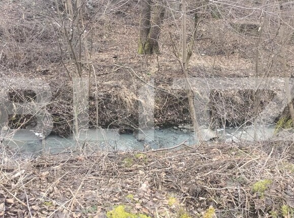 Casa de vânzare 3 camere Sovata - 188297CV | BLITZ Târgu Mureș | Poza3