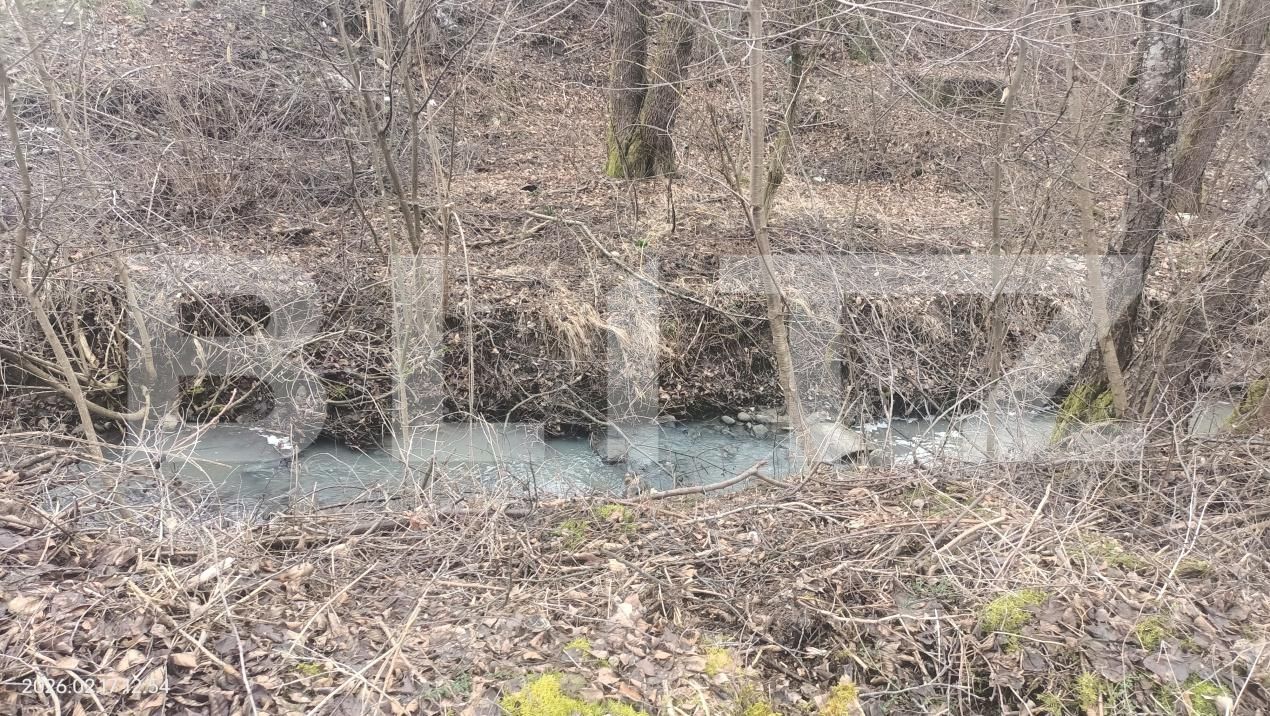 Casa de vânzare 3 camere Sovata - 188297CV | BLITZ Târgu Mureș | Poza3