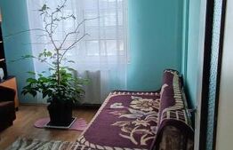 Apartament 3 camere, 2 băi, mobilat, central Luduș