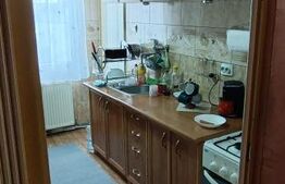 Apartament cu 3 camere, 2 bai, complet mobilat, Ludus, Central