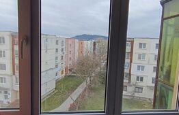 Apartament 3 camere, 2 băi, mobilat, central Luduș