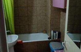 Apartament cu 3 camere, 2 bai, complet mobilat, Ludus, Central