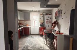 Apartament 3 camere decomandat mobilat si utilat, Ludus