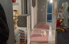 Apartament 3 camere decomandat mobilat si utilat, Ludus