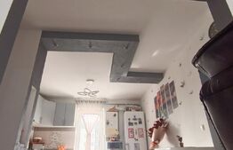 Apartament 3 camere decomandat mobilat si utilat, Ludus