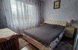 Apartament 3 camere decomandat mobilat si utilat, Ludus