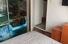 Apartament 3 camere decomandat mobilat si utilat, Ludus