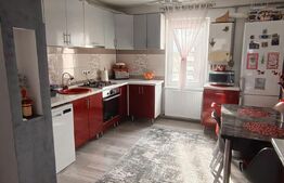 Apartament 3 camere decomandat mobilat si utilat, Ludus