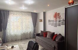 Apartament 3 camere decomandat mobilat si utilat, Ludus