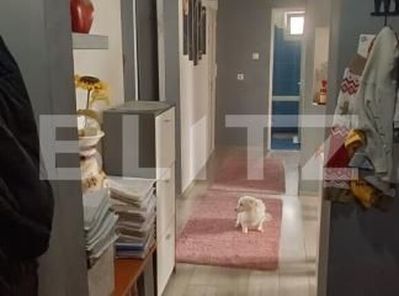 Apartament de vânzare 3 camere Ludus - 188529AV | BLITZ Târgu Mureș | Poza17