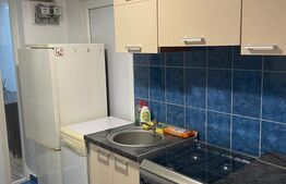 Apartaemnt de inchiriat, 35 mp, zona Centrala