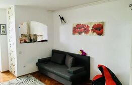 Apartament 1 cameră, 33 mp, zona Aleea Carpați