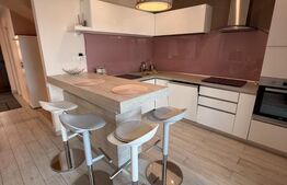 Duplex de închiriat, 115 mp, zona Unirii – Ama Residence