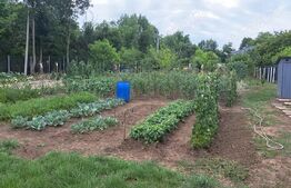  Casă Modernă , liniște deplină la 10 km de Târgu Mureș