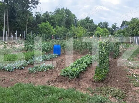 Casa de vânzare 4 camere Ceuasu de Câmpie - 188997CV | BLITZ Târgu Mureș | Poza10