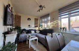 Casă cu curte comună de vânzare, 119 mp – Zona Cornișa, Târgu Mureș