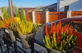 Casa cocheta tip duplex de vanzare in zona spitalului oncologicMedex