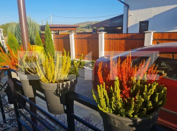 Casa de vânzare 3 camere Sângeorgiu de Mureș - 189982CV | BLITZ Târgu Mureș | Poza10