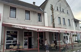 Casa de vanzare Reghin, Târgu Mureș