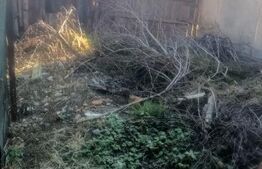 OPORTUNITATE REGHIN: Spațiu Comercial Stradal + Potențial Dezvoltare | Zonă Semi