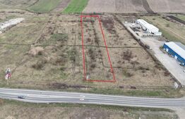 Teren intravilan 3.695mp pe DN15 la intrare in Reghin