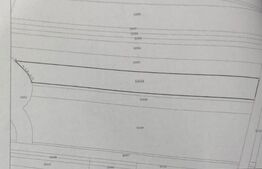 Teren intravilan 3.695mp pe DN15 la intrare in Reghin