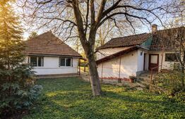 Casă cu teren generos in zona centrala in Reghin