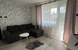 Apartament 2 camere, 50 mp, zona Tudor