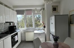 Apartament 2 camere, 50 mp, zona Tudor