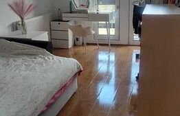 Casa spatioasa in Budiul Mic! 160mp utili!