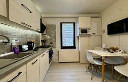 Apartament de vanzare, 46 mp, zona Tudor