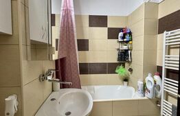 Apartament de vanzare, 46 mp, zona Tudor