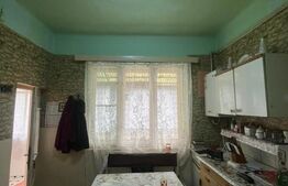 Casă de vânzare, Curteni