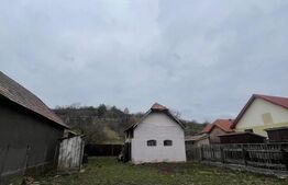 Casă de vânzare, Curteni