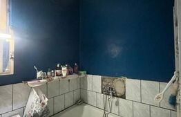 Casă de vânzare, Curteni