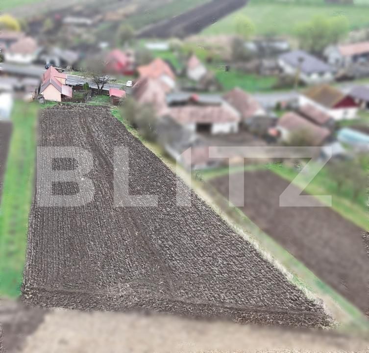 Casa de vânzare 2 camere Breaza - 191294CV | BLITZ Târgu Mureș | Poza10