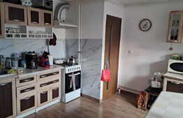 Duplex de vânzare 7 camere în Sângeorgiu de Mureș