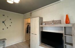 Apartament de închiriat – 2 camere, 35 mp, zona Dambu 