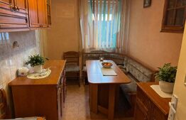 Apartament 4 camere decomodat, ideal familie | 2 băi | Iernuteni, Reghin