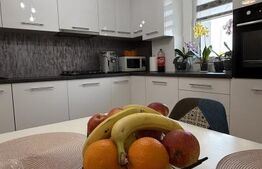 Apartament 2 camere – etaj 1 – zonă liniștită, Cristesti