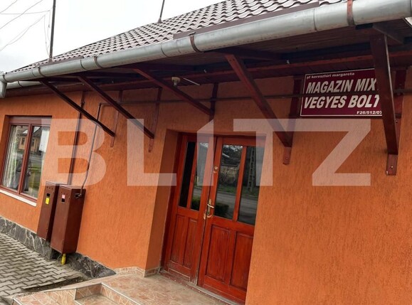 Spațiu comercial de închiriat Exterior Sud - 191834SIC | BLITZ Târgu Mureș | Poza2