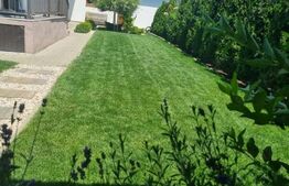 Casă individuală pe un nivel | Locație Centrală Sâncraiu de Mureș 