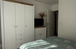 Apartament 2 camere, 55 mp, zona Tudor