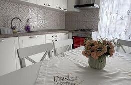 Apartament 2 camere, 55 mp, zona Tudor