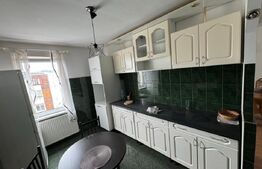 Apartament 3 camere Arizona Ludus