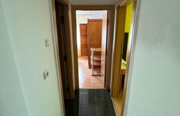 Apartament 3 camere Arizona Ludus