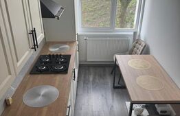 Apartament 2 camere lux, zonă atractivă Aleea