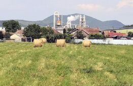 Teren intravilan generos + 2 case – 15.277 mp, front 30 m, multiple posibilități