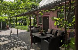 Teren intravilan generos + 2 case – 15.277 mp, front 30 m, multiple posibilități